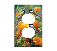 Piastra di copertura per interruttore della luce del giardino autunnale, zucca arancione vivace con uccelli colorati, accenti stagionali da parete per decorazione domestica, presa singola duplex in