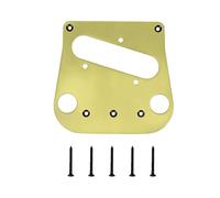 Piastra di montaggio in metallo Piastra di base per ponte per chitarra elettrica Adattatore per strumenti musicali Accessori per strumenti musicali Facile installazione Installazione facile
