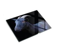 Piastra di protezione e coperchio in vetro 40x30 cm Capra nera | Ripiano | Supporto | Base | Vassoio | Paraspruzzi | Struttura | Copertura | Salvatavola | Elemento | Aiuto
