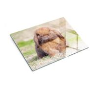 Piastra di protezione e coperchio in vetro 40x30 cm Coniglietto dolce | Ripiano | Supporto | Base | Vassoio | Paraspruzzi | Struttura | Copertura | Salvatavola | Elemento | Aiuto