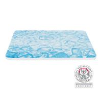 Piastra di raffreddamento 20 × 15 cm blu