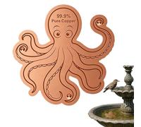Piastra in rame per la pulizia 'acqua di tutte le stagioni | Vasca per uccelli in rame, disco di purificazione per esterni, giardino, cortile, amanti della natura, mamma giardiniere