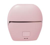 Piastra Per Capelli - Ceramica ABS 10x8,9x3,5 Cm | Pettine Per Piastra Per Capelli Con Una Sola Passata Senza Tirare | Spazzola Per Lisciare | Strumento Per Lo Styling A Riscaldamento Rapido Per I Via