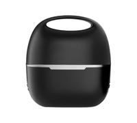 Piastra Per Capelli Da Viaggio,Pettine A Riscaldamento Rapido - Spazzola Stira Capelli Ricaricabile E Portatile,Per Donne Hotel Spostamento Quotidiano Viaggio Weekend Vacanza Dormitorio