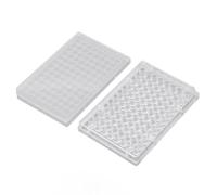 Piastra per Coltura Cellulare Sterile, 96 Pozzetti, Fondo Piatto, Polistirene Trasparente, 10 Pezzi, per Laboratorio Biologico