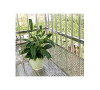 Piastra perforata antifurto per recinzione del balcone, 60 cm x 140 cm, ripiano perforato per prevenire le cadute, soluzione di sicurezza durevole