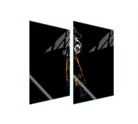 PIASTRA PROTETTIVA IN VETRO PER CUCINA 2x35x52 ANIME