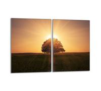 Piastra protettiva in vetro per stufa 2x40x52 Tree