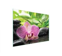 DarHaus Copri piano cottura induzione 70x52 cm copertura per piano cottura in vetroceramica 1 pezzi universale per piastre di cottura paraspruzzi tagliere in vetro temprato, Violetta orchidea