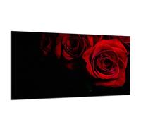 Piastra protettiva in vetro per stufa 90x52 Rose