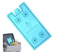 Piastra Refrigerante per Lunch Box 4 Pezzi Portatili E Riutilizzabili Con