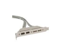 Piastra slot USB InLine - interna/esterna - 2xUSB Tipo A (W) e 2xFW 6pin (W) - 3x9pin (M) - 04 m (33390A)