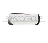 Piastra Specchio Destra Convessa Per Ford Transit/tourneo - Connect 2003-2006 Dx