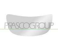 Piastra Specchio Inferiore Destra NISSAN PRIMASTAR 2001/2007 LATO DX 9636600QAJ