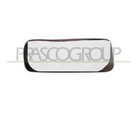 Piastra Specchio Sinistra Convessa Per Ford Transit/tourneo - Connect 2003-2006