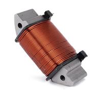 Piastra statore Bobina accensione generatore Moto per 2004-2005 | KDX220-A11 KDX220-A12 21003-1279, Facile Installazione, Durevole, Costruzione Robusta, Montaggio preciso, Prestazioni stabili