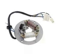 Piastra statore bobina di accensione a 2 bobine compatibile con PW80 PW 80 80