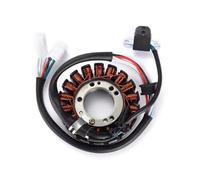 Piastra statore Bobina generatore Motore Moto per KSF400 KFX400 2003-2007 | per KSF400 KFX400 2003-2007, 21003-S006, Facile Installazione, Durevole, Costruzione Robusta, vestibilità precisa