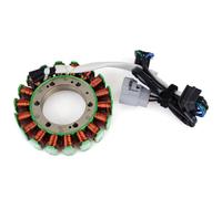 Piastra statore Bobina generatore per Suzuki KingQuad 400ASi 2013-2017 4WD Stabile | per Suzuki KingQuad 400ASi 2013-2017, LT-A400 32101-27H00, Facile Installazione, Durevole, Costruzione Robusta