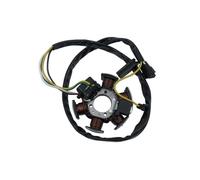 Piastra Statore Generatore Alternatore Per RS50 Per RX50 Per MX50 Per AM6 50 Per Tuono Di Accensione Motore