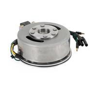 Piastra Statore Magnete + Set Volano 110cc 125cc Avviamento A Pedale PIT PRO Dirt Bike Accessori Per Moto Statore Accensione Magneto