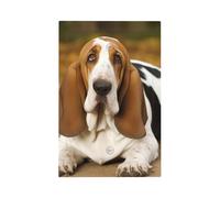 Piastre da parete Duplex Coperture per interruttori della luce a levetta Piastre decorative per interruttori della luce Copertura per interruttore della luce Basset Hound Stampa Piastra da parete per