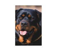 Piastre da parete Duplex Coperture per interruttori della luce a levetta Placche decorative per interruttori della luce Copertura per interruttore della luce Rottweiler Stampa Cane Placca da parete
