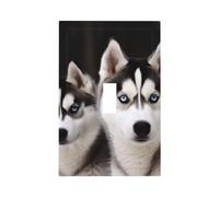 Piastre da parete Duplex Coperture per interruttori della luce a levetta Placche decorative per interruttori della luce Copertura per interruttori della luce con stampa di cane husky Placca da parete