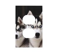 Piastre da parete Duplex Coperture per interruttori della luce a levetta Placche decorative per interruttori della luce Copertura per interruttori della luce con stampa di cane husky Placca da parete