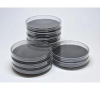 Piastre di agar destrosio di patate, 10 pezzi, piastre di Petri PDA preversate con carbone attivo, ideali per funghi e progetti fieristici della scienza