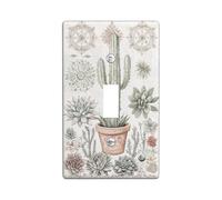Piastre di copertura per interruttore della luce di cactus succulente, morbide piante verdi del deserto per la decorazione domestica, piastre da parete in materiale termoplastico, dimensioni standard