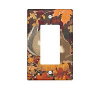 Piastre di copertura per interruttore della luce di scoiattolo autunnale, coperture per uscite, creature della foresta marrone caldo per la decorazione domestica, piastre da parete in materiale