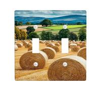 Piastre di copertura per interruttori della luce del raccolto di campagna, coperture di uscita, balle di fieno dorate per decorazioni rustiche per la casa, piastre da parete in materiale termoplastico