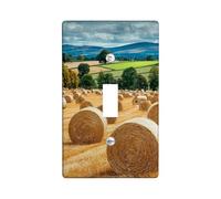 Piastre di copertura per interruttori della luce del raccolto di campagna, coperture di uscita, balle di fieno dorate per decorazioni rustiche per la casa, piastre da parete in materiale termoplastico