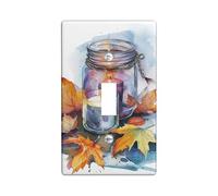 Piastre di protezione per interruttore candela autunnale foglie autunnali e lanterne in vaso per decorazione da parete, piastre da parete in plastica, presa duplex singola di dimensioni standard
