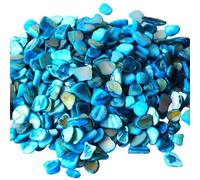 Piastrelle mosaico Mosaico Conchiglia Multicolor 1-2cm 50g Decorazione murale fai da te(7)