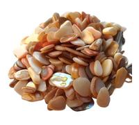 Piastrelle mosaico Mosaico Conchiglia Multicolor 1-2cm 50g Decorazione murale fai da te(8)