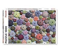 Puzzle Ricci Di Mare 1000 Pezzi