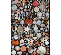 Piatnik - Puzzle Conchiglie - 1000 Pezzi