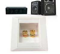 Piatta Parete Del Filo Altoparlante - Piatta Per Tappo A Doppia Porta Banana, Connettore Audio Universale | Piastra Post Parete Rilegatura Oro, Adattatore A Parete Audio Stereo Hi-fi, Connettore A Par