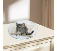 Piattaforma del criceto piattaforma silenziosa ruota d'esercizio per piccoli