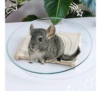 Piattaforma ruota del criceto giocattolo di criceto giocattoli di arricchimento