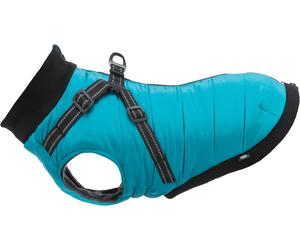 Piatti-Copertura Pontis aqua