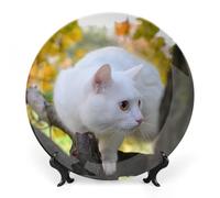 Piatti decorativi da appendere alla parete, 6", piatto rotondo con supporto, piatti piani in ceramica, piatto in porcellana con gatto bianco sull'albero, decorazione da parete per la casa per il Rin