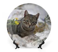 Piatti decorativi da appendere alla parete, 6", piatto rotondo con supporto, piatti piani in ceramica, piatto in porcellana con ritratto di gatto e fiori, decorazione da parete per la casa per il Ri