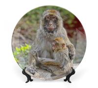 Piatti decorativi da appendere alla parete, 7", piatto rotondo con supporto, piatti da portata in ceramica, piatto in porcellana con macaco di Barberia, decorazione da parete per il Ringraziamento e