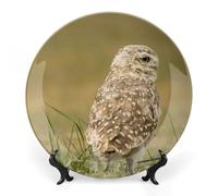 Piatti decorativi da appendere alla parete, 7", piatto rotondo con supporto, piatti da portata in ceramica, uccelli, gufi, animali, piatto in porcellana, decorazione da parete per il Ringraziamento