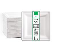 Piatti Piani Quadrati lato 26 cm Piatto grande carta quadro bagassa bio