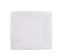 Piatti Plastica Nice Grandi 290mm PP cfz 12pz (Bianco)