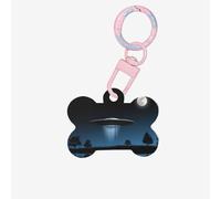 Piattino volante di notte stampa acrilico ornamento osso del cane, medagliette per cani ornamento personalizzato per animali domestici, portachiavi a forma di osso identificativo